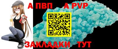 СК Бийск