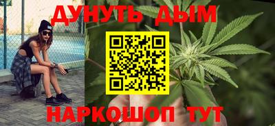 СК Бийск