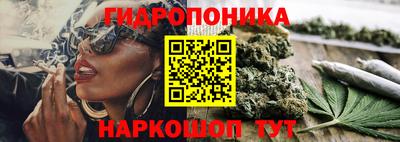 СК Бийск