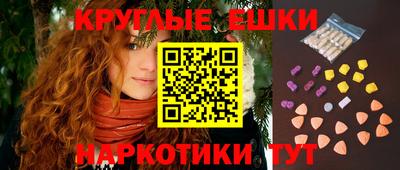 СК Бийск