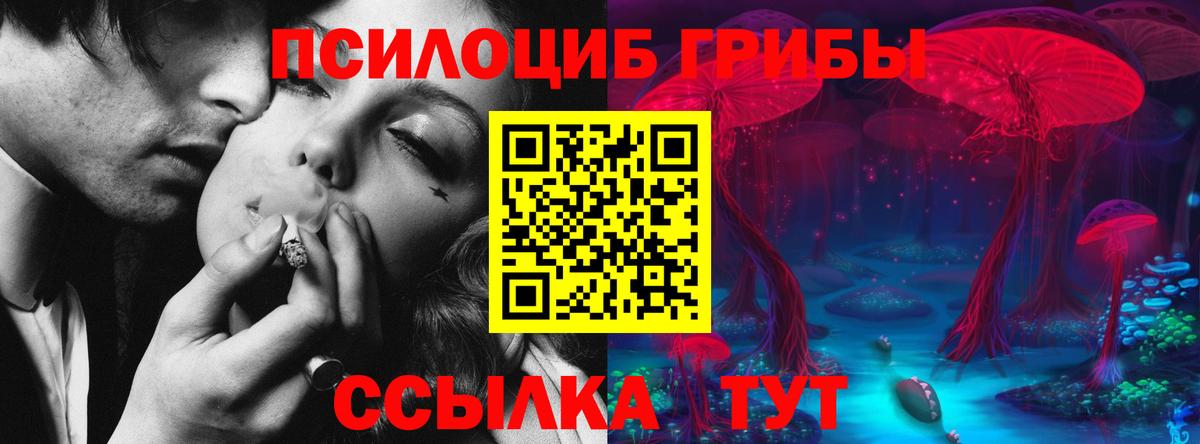 Галлюциногенные грибы прущие грибы Берёзовский